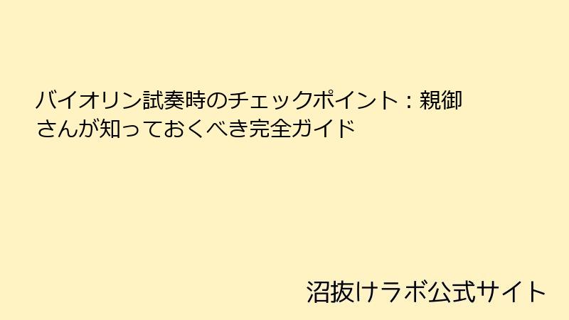 バイオリン試奏時のチェックポイント：親御さんが知っておくべき完全ガイド