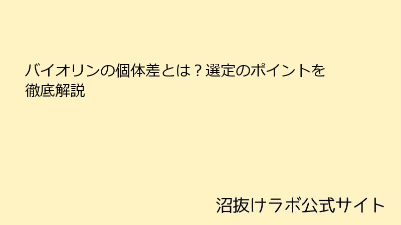 バイオリンの個体差とは？選定のポイントを徹底解説