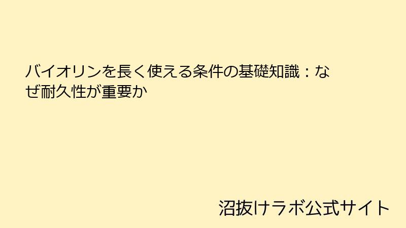 バイオリンを長く使える条件の基礎知識：なぜ耐久性が重要か