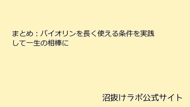 まとめ：バイオリンを長く使える条件を実践して一生の相棒に