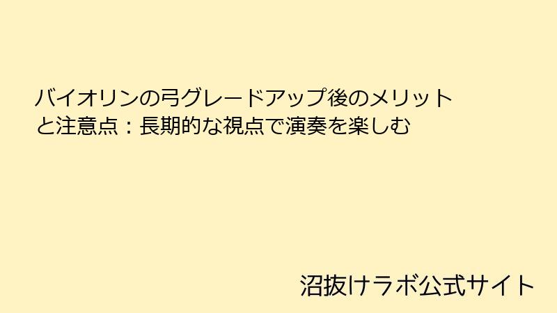 バイオリンの弓グレードアップ後のメリットと注意点：長期的な視点で演奏を楽しむ