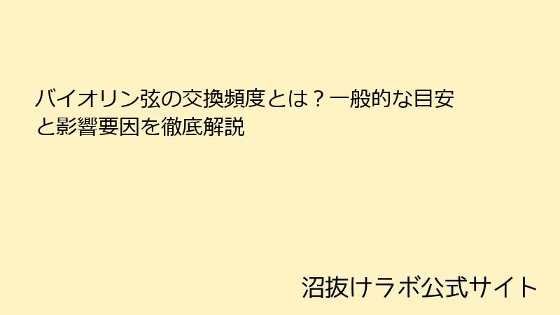 バイオリン弦の交換頻度とは？一般的な目安と影響要因を徹底解説