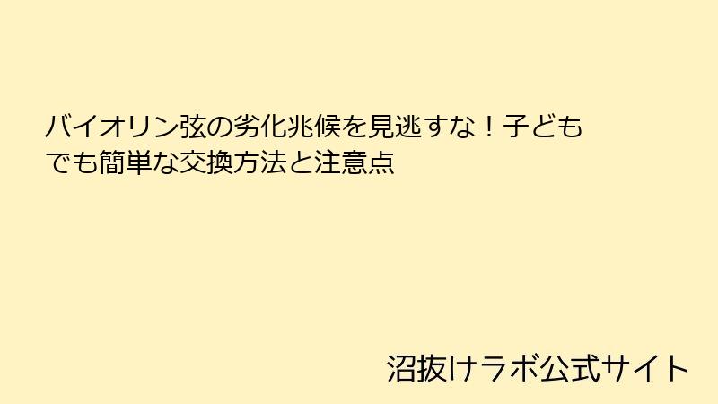 バイオリン弦の劣化兆候を見逃すな！子どもでも簡単な交換方法と注意点