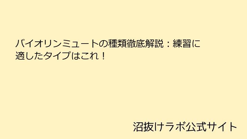 バイオリンミュートの種類徹底解説：練習に適したタイプはこれ！