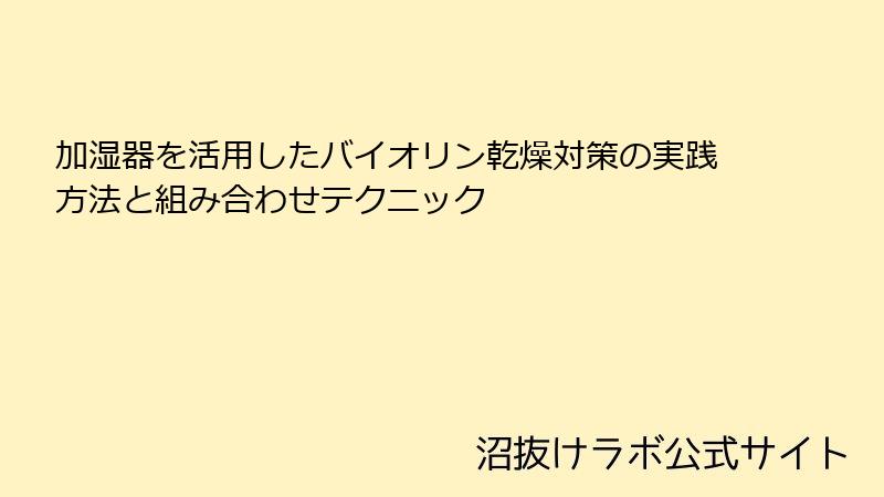 加湿器を活用したバイオリン乾燥対策の実践方法と組み合わせテクニック