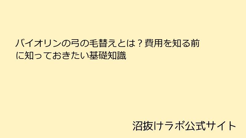 バイオリンの弓の毛替えとは？費用を知る前に知っておきたい基礎知識