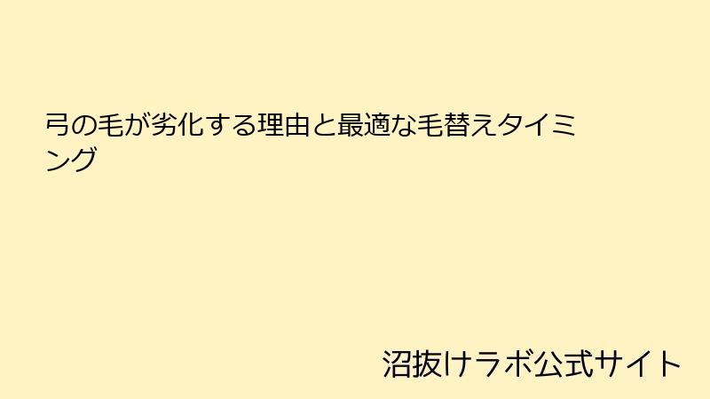 弓の毛が劣化する理由と最適な毛替えタイミング