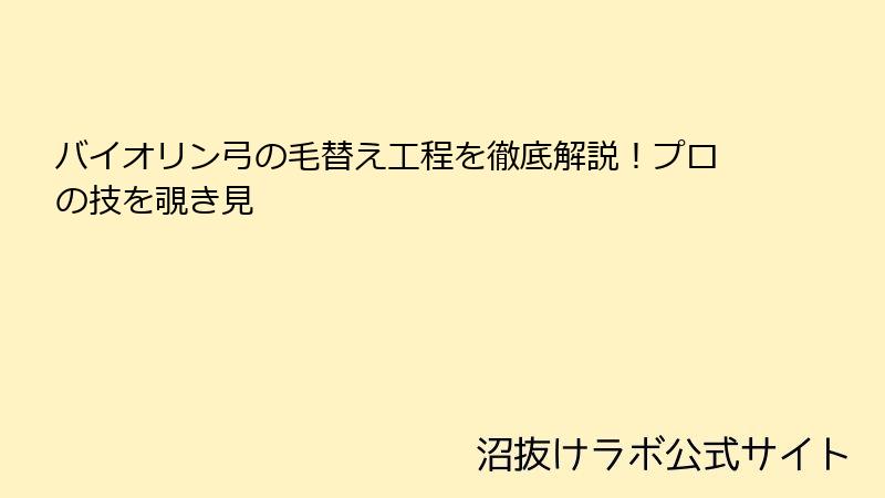 バイオリン弓の毛替え工程を徹底解説！プロの技を覗き見