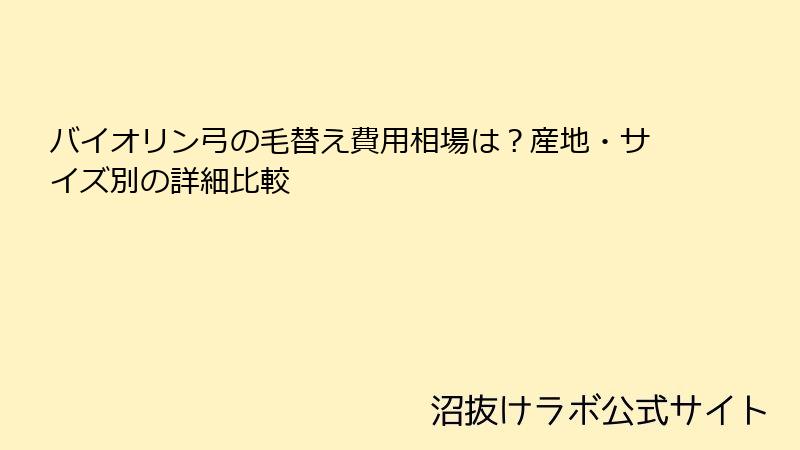 バイオリン弓の毛替え費用相場は？産地・サイズ別の詳細比較