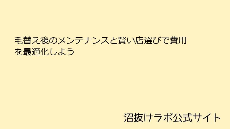 毛替え後のメンテナンスと賢い店選びで費用を最適化しよう