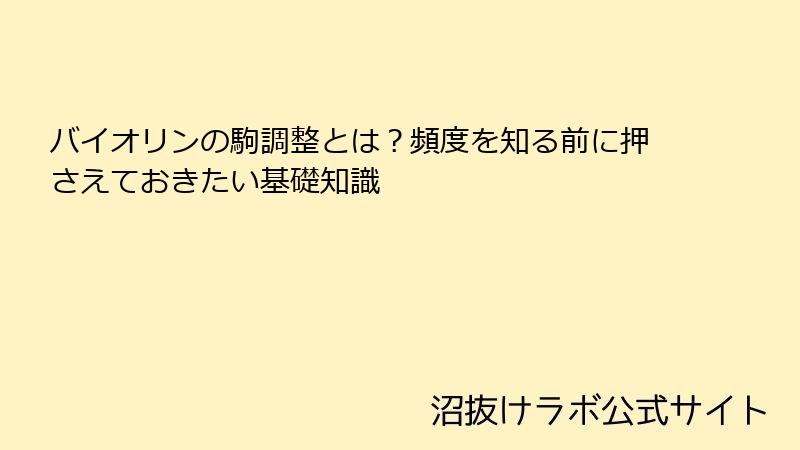 バイオリンの駒調整とは？頻度を知る前に押さえておきたい基礎知識