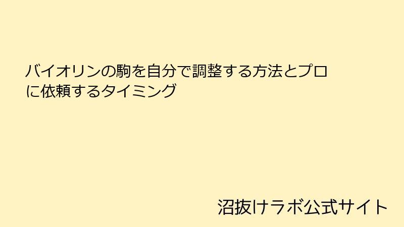 バイオリンの駒を自分で調整する方法とプロに依頼するタイミング