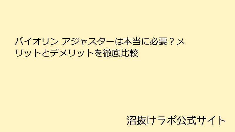 バイオリン アジャスターは本当に必要？メリットとデメリットを徹底比較