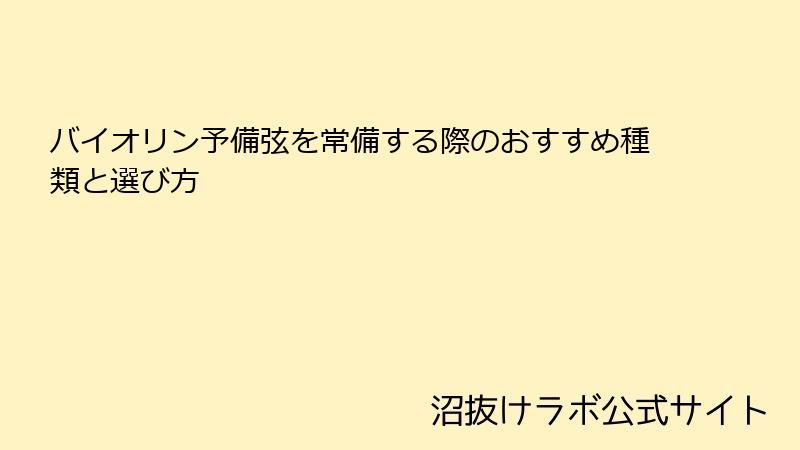 バイオリン予備弦を常備する際のおすすめ種類と選び方