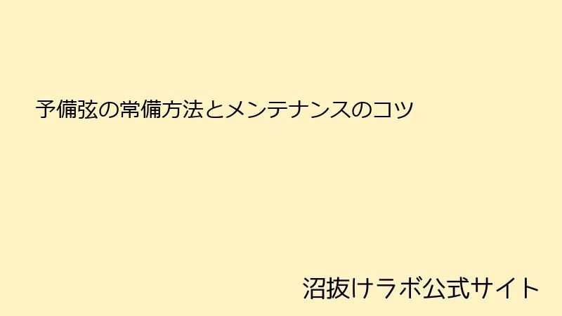 予備弦の常備方法とメンテナンスのコツ