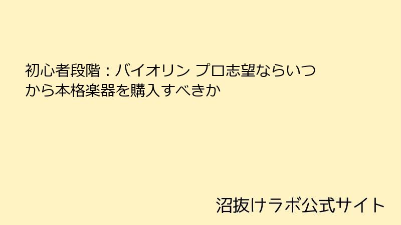 初心者段階：バイオリン プロ志望ならいつから本格楽器を購入すべきか
