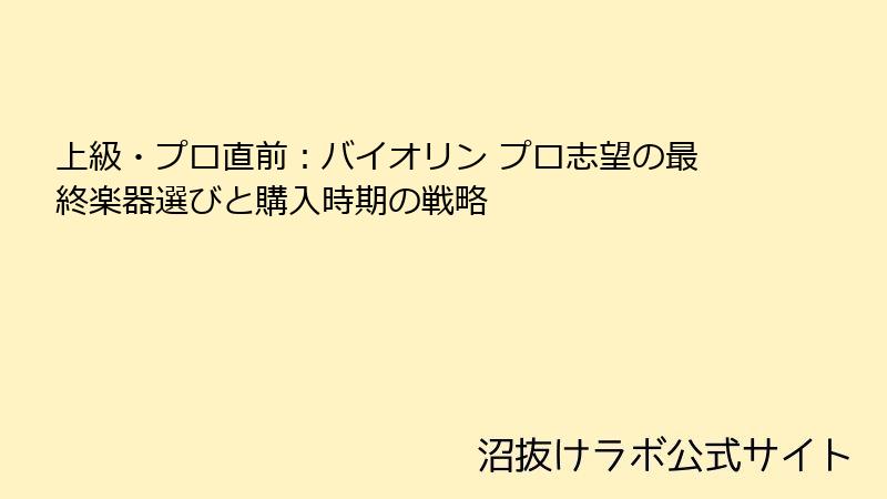 上級・プロ直前：バイオリン プロ志望の最終楽器選びと購入時期の戦略