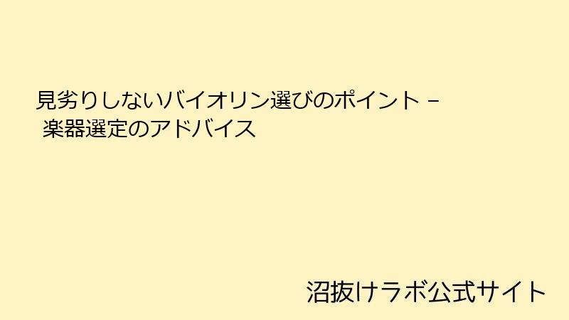 見劣りしないバイオリン選びのポイント – 楽器選定のアドバイス