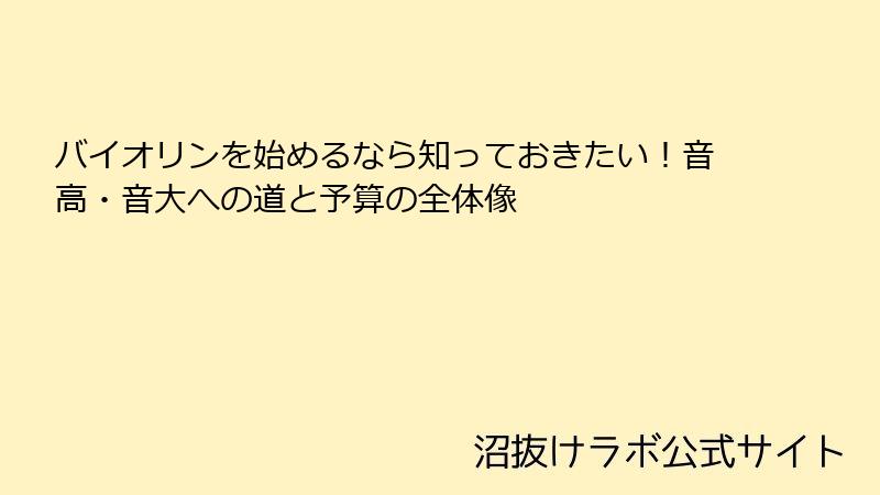 バイオリンを始めるなら知っておきたい！音高・音大への道と予算の全体像
