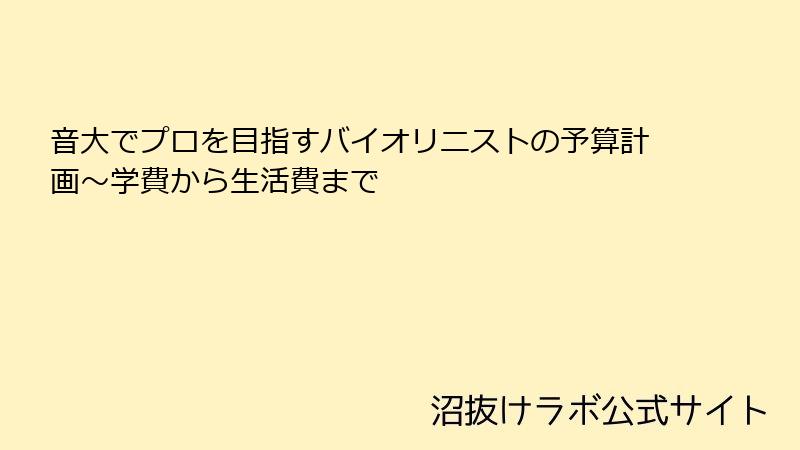 音大でプロを目指すバイオリニストの予算計画～学費から生活費まで