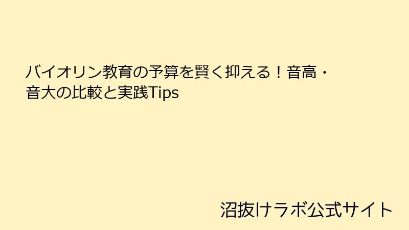 バイオリン教育の予算を賢く抑える！音高・音大の比較と実践Tips