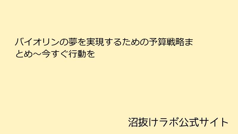 バイオリンの夢を実現するための予算戦略まとめ～今すぐ行動を