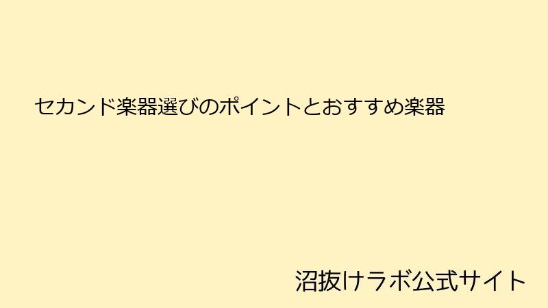 セカンド楽器選びのポイントとおすすめ楽器
