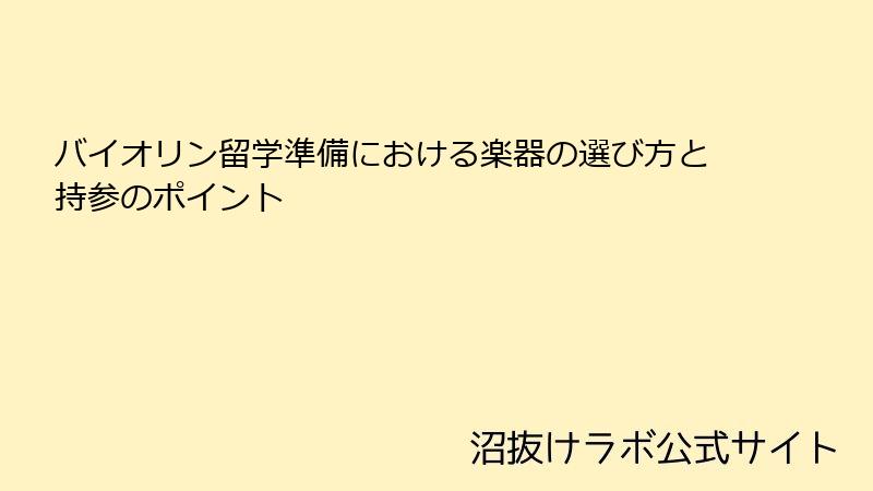 バイオリン留学準備における楽器の選び方と持参のポイント