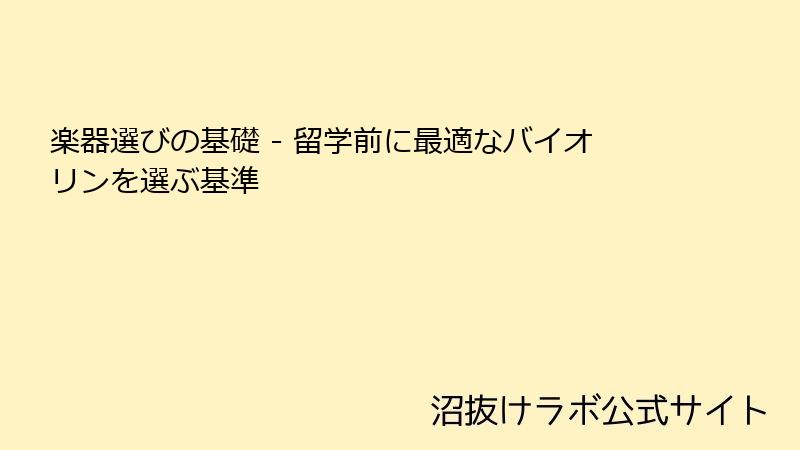 楽器選びの基礎 - 留学前に最適なバイオリンを選ぶ基準