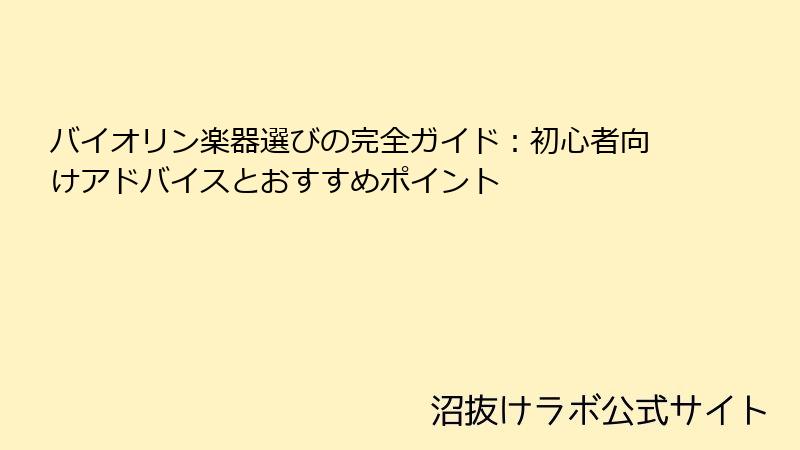 バイオリン楽器選びの完全ガイド：初心者向けアドバイスとおすすめポイント