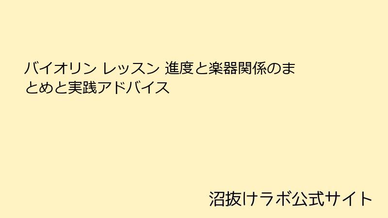 バイオリン レッスン 進度と楽器関係のまとめと実践アドバイス