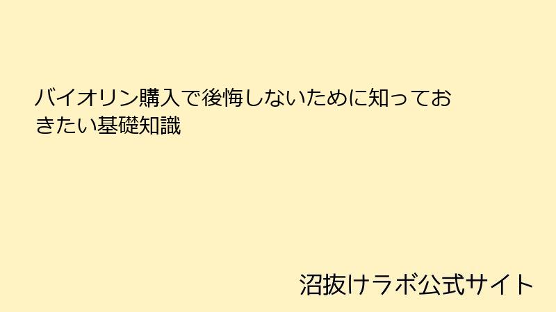 バイオリン購入で後悔しないために知っておきたい基礎知識