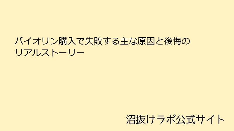 バイオリン購入で失敗する主な原因と後悔のリアルストーリー