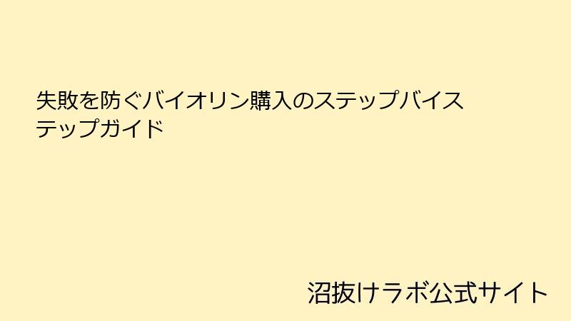 失敗を防ぐバイオリン購入のステップバイステップガイド