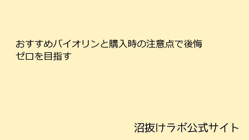 おすすめバイオリンと購入時の注意点で後悔ゼロを目指す