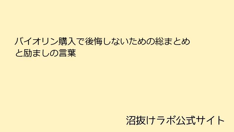 バイオリン購入で後悔しないための総まとめと励ましの言葉