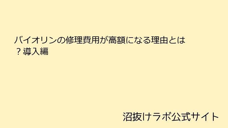 バイオリンの修理費用が高額になる理由とは？導入編