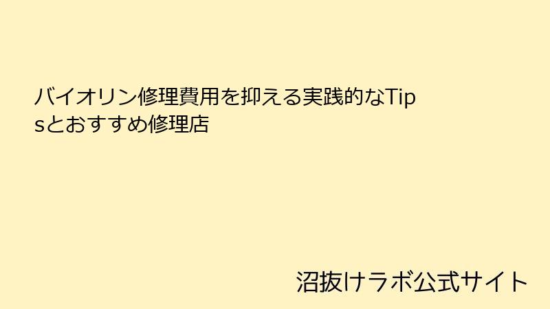 バイオリン修理費用を抑える実践的なTipsとおすすめ修理店