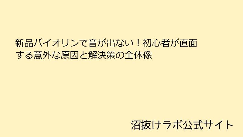 新品バイオリンで音が出ない！初心者が直面する意外な原因と解決策の全体像
