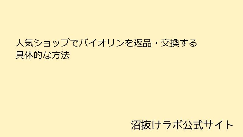 人気ショップでバイオリンを返品・交換する具体的な方法