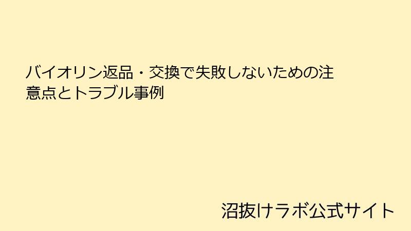 バイオリン返品・交換で失敗しないための注意点とトラブル事例