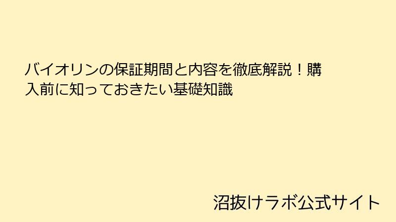 バイオリンの保証期間と内容を徹底解説！購入前に知っておきたい基礎知識