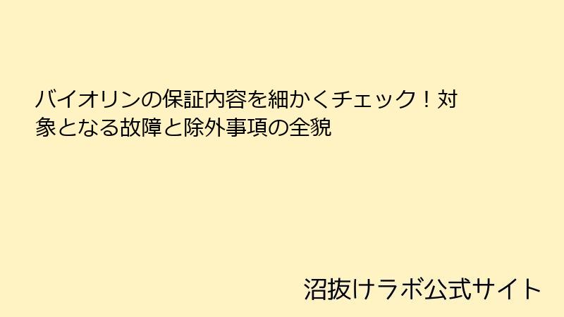 バイオリンの保証内容を細かくチェック！対象となる故障と除外事項の全貌