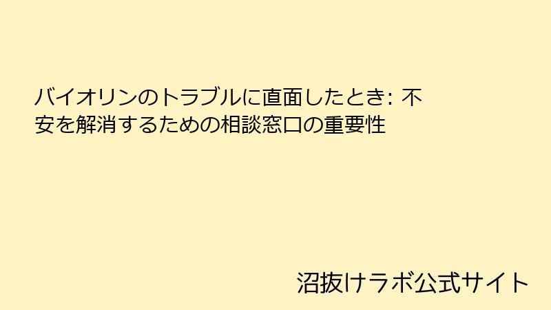 バイオリンのトラブルに直面したとき: 不安を解消するための相談窓口の重要性