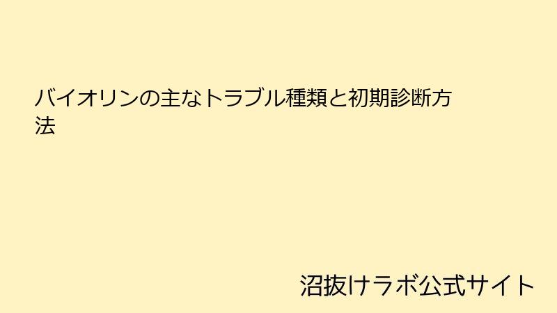 バイオリンの主なトラブル種類と初期診断方法