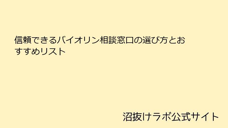 信頼できるバイオリン相談窓口の選び方とおすすめリスト