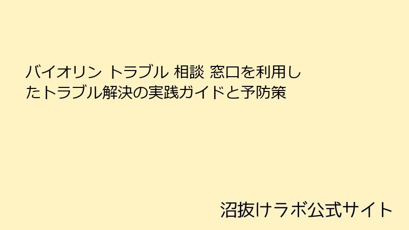 バイオリン トラブル 相談 窓口を利用したトラブル解決の実践ガイドと予防策