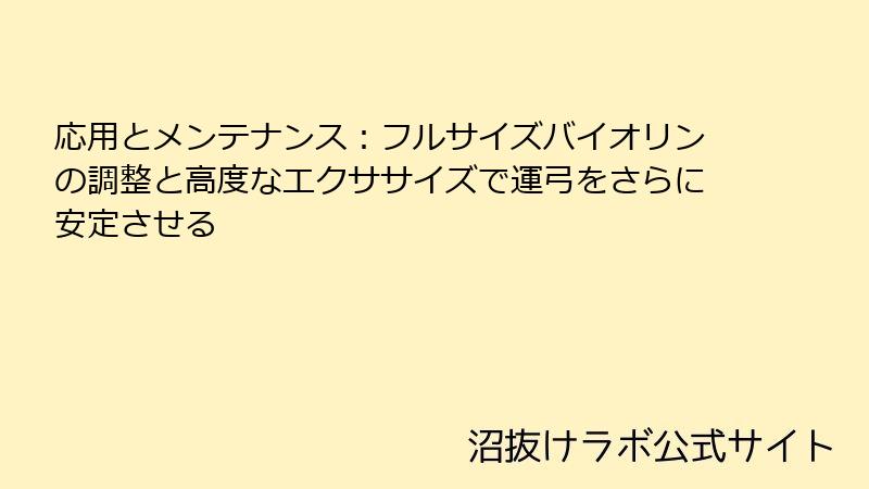 応用とメンテナンス：フルサイズバイオリンの調整と高度なエクササイズで運弓をさらに安定させる