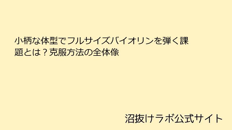 小柄な体型でフルサイズバイオリンを弾く課題とは？克服方法の全体像