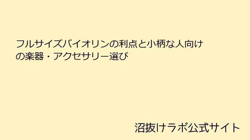 フルサイズバイオリンの利点と小柄な人向けの楽器・アクセサリー選び